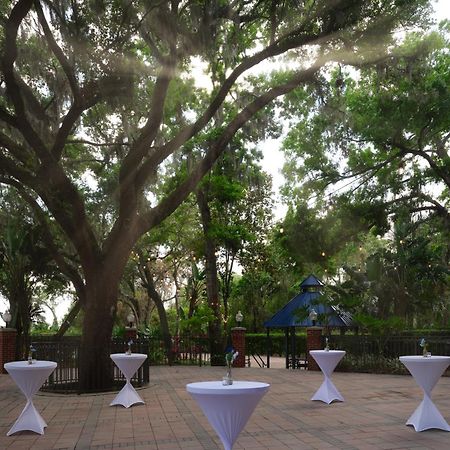 Hilton Garden Inn Tampa East Brandon Mango Exterior foto