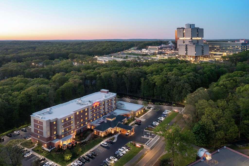 Hilton Garden Inn Tampa East Brandon Mango Exterior foto